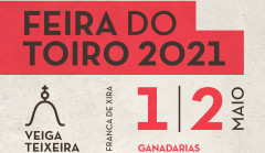 O NOSSO SONHO É COMEÇARMOS COM A FEIRA DO TOIRO NA PALHA BLANCO!